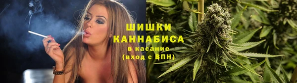 ешки Корсаков