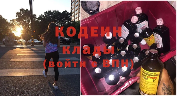 ешки Корсаков