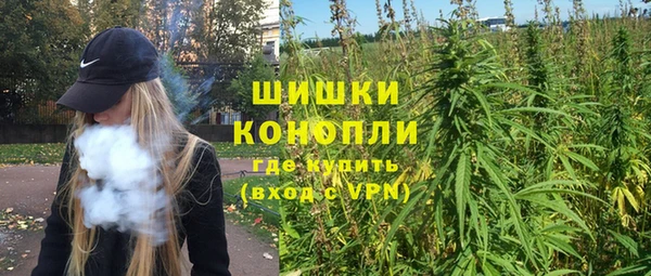 ешки Корсаков